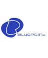 Bluepoint